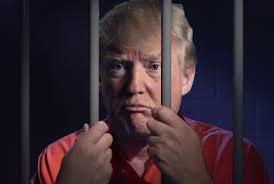 Which of the following felonies should Trump be charged with on Jan, 21, 2020?