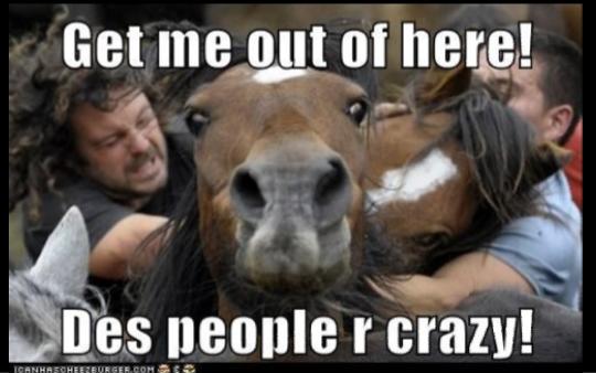 Is Anyone Else Getting Tired Of People Going Politics Crazy?