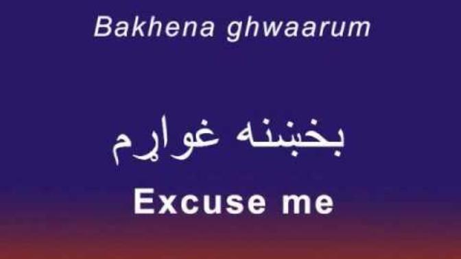 Are there any languages that you like most?