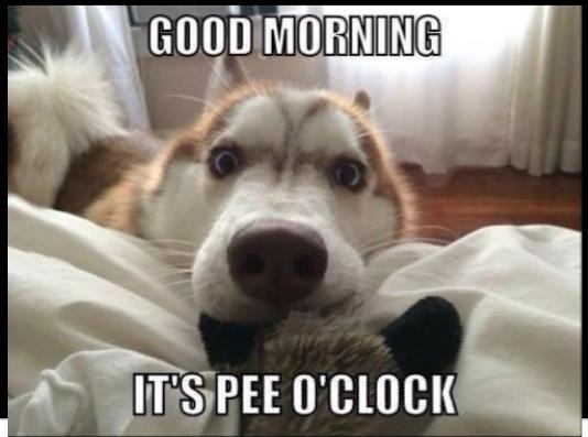 Dont You Just Hate When You Wake Up In The Middle Of The Night And Cant Fall Back Asleep? What Do You Do When That Happens?