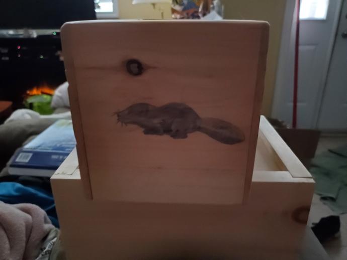 What do you think of these two drawings, on wood?