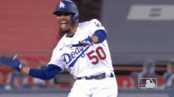 Are you a fan of baseball?