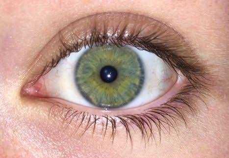 Which eye color do you prefer?