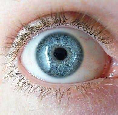 Which eye color do you prefer?