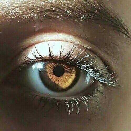 Which eye color do you prefer?