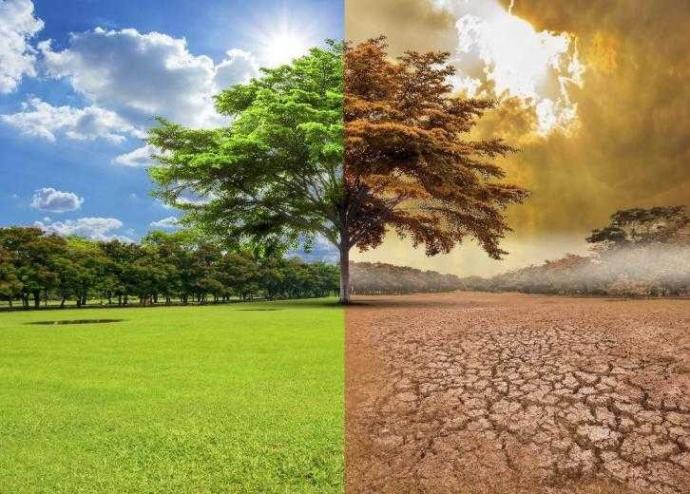 Do you view nuclear power as an alternative to fossil fuels in the fight against climate change?