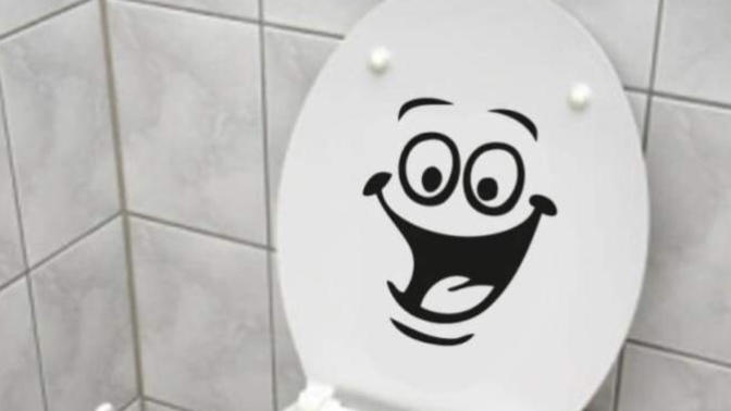 Before You Flush The Toilet Do You Put The Lid DOWN Or Do You Leave It UP, Flush & Watch It Go Bye Bye?