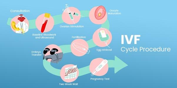 Is it rude to refer to certain babies as “test tube kids” (read more below)?