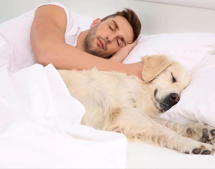 Would you or do you let your dog sleep on your bed with you?