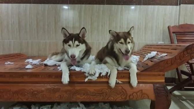 What's the best punishment for these two?