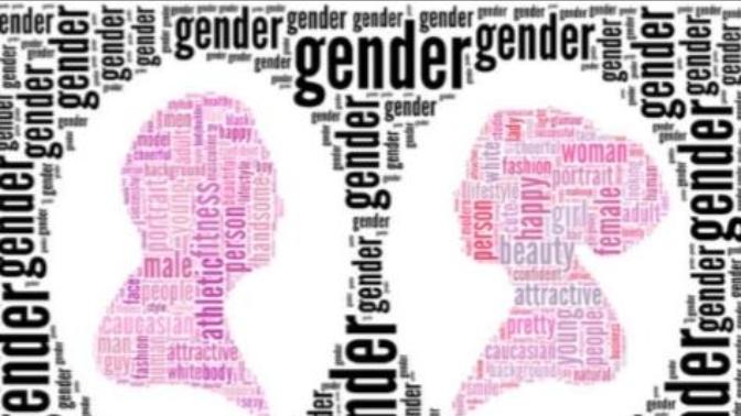 Do People Not Get The Difference Between "Gender" Trait And "Personality" Trait?