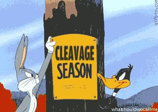 Trivial Follow Up Question: Do You Prefer Cleavage Season OR Yoga Pants Season?