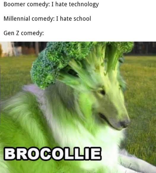 What do you think of GEN Z humor?