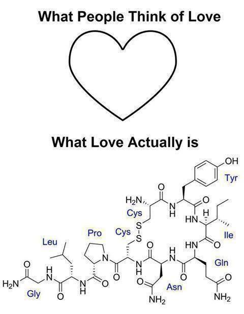Do you think love is just a chemical reaction or something deeper?