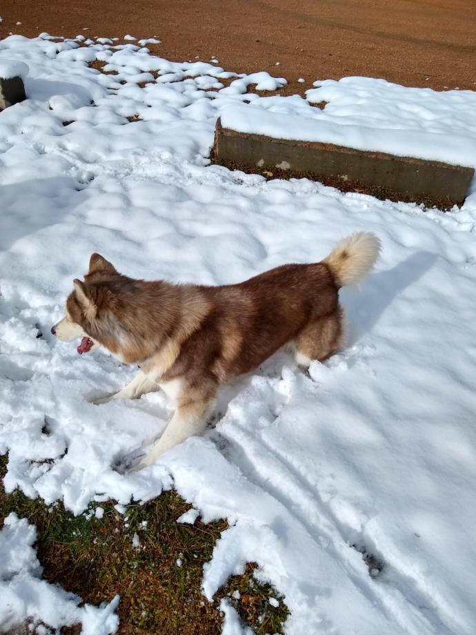 This is her element ❄️