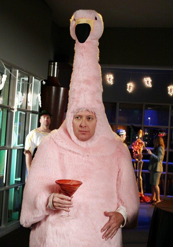 Which Halloween costume is the cutest/funniest?