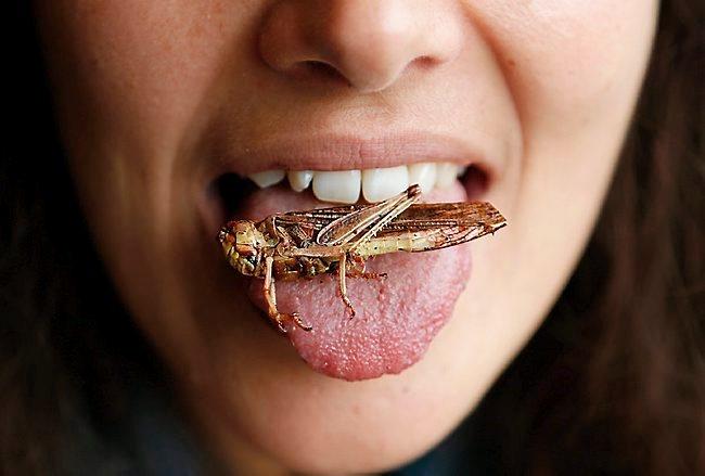 Have you ever eaten an outdoor object/creature that probably wasnt meant to be eaten (examples below)?