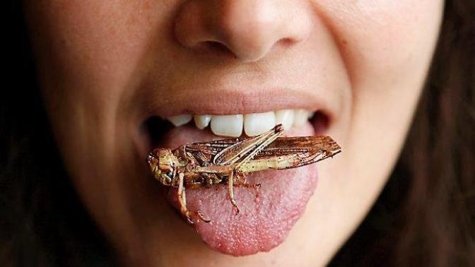 Have you ever eaten an outdoor object/creature that probably wasn't meant to be eaten (examples below)?