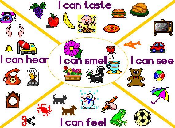 Which one of your 5 senses would you be least willing to loose if you were to be born without one and why that one?
