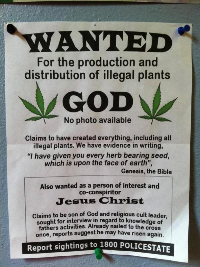 With more states legalizing marijuana, do you think people will be less judgmental/critical of it?