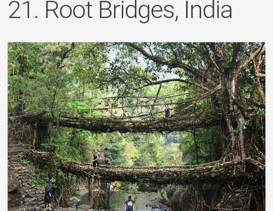 Choose the bridge you think is the most dangerous photos included?