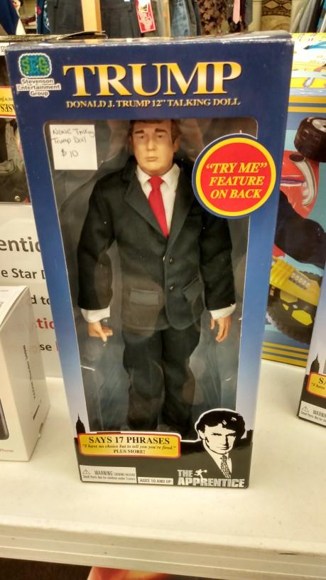 What is the most interesting thing that I found at the sparrows nest thrift store yesterday?