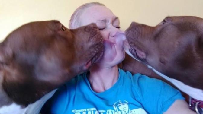 Are people who love animals more than humans mad?