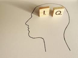 Is the concept of IQ credible? Does it accurately predict intelligence and the prospects of educational attainment, average income, etc?