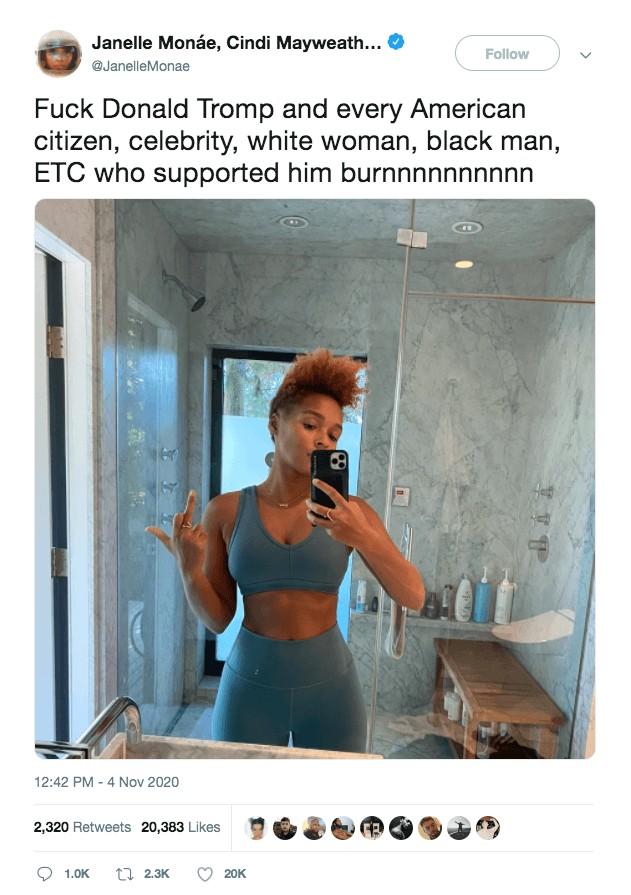 What do you think janelle Monae racist and sexist threatening tweets?