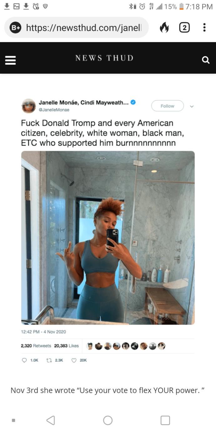 What do you think janelle Monae racist and sexist threatening tweets?