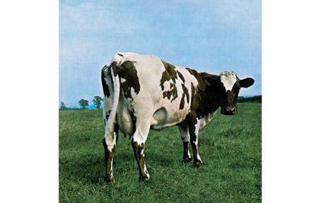 Which Pink Floyd album is the best (Part 3)?