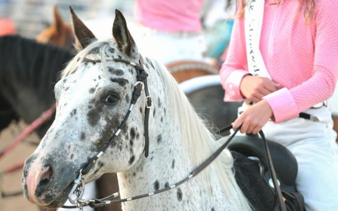 Are Guys Impressed By A Girl Who Can Ride Horseback?