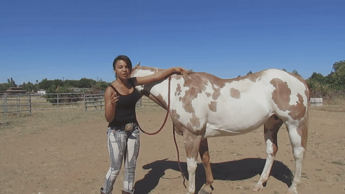 Are Guys Impressed By A Girl Who Can Ride Horseback?