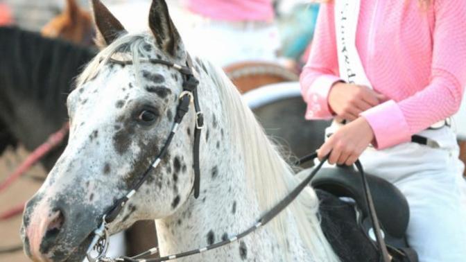 Are Guys Impressed By A Girl Who Can Ride Horseback?