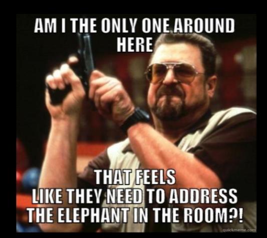 Do You Ignore The Elephant In The Room Or Do You Tackle It Head On?