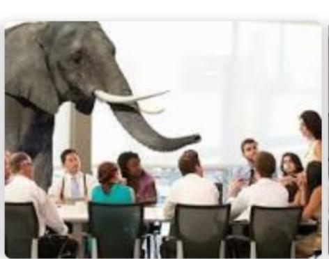 Do You Ignore The Elephant In The Room Or Do You Tackle It Head On?
