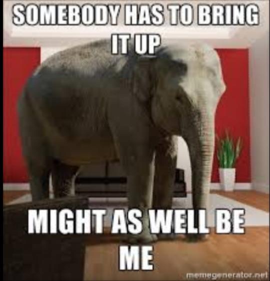 Do You Ignore The Elephant In The Room Or Do You Tackle It Head On?