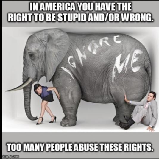 Do You Ignore The Elephant In The Room Or Do You Tackle It Head On?