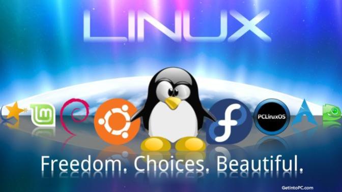 Who here uses a Linux Computer operating system for their computer?
