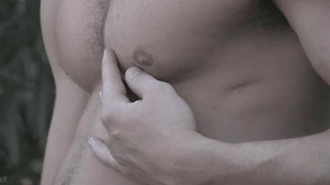 Girls, do you find it attractive if a mans chest looks like this?