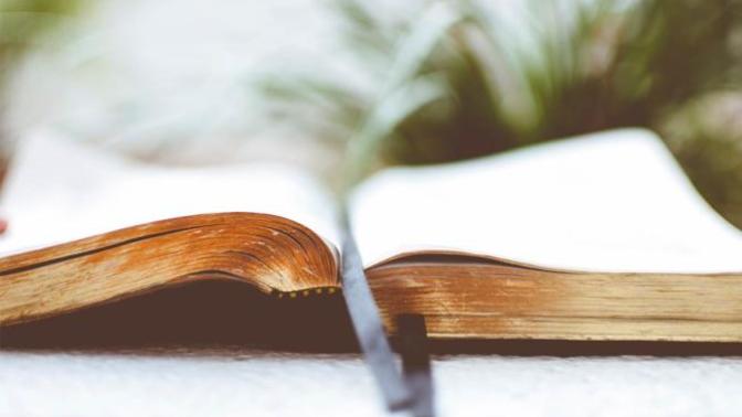 Would you write a memoir for your great grandchildren on how you experienced 2020 Covid/Pandemic year?
