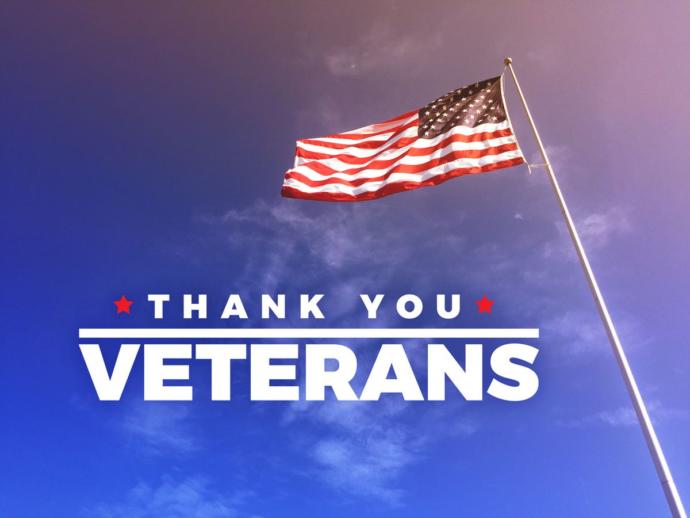 How important is Veterans Day to you?