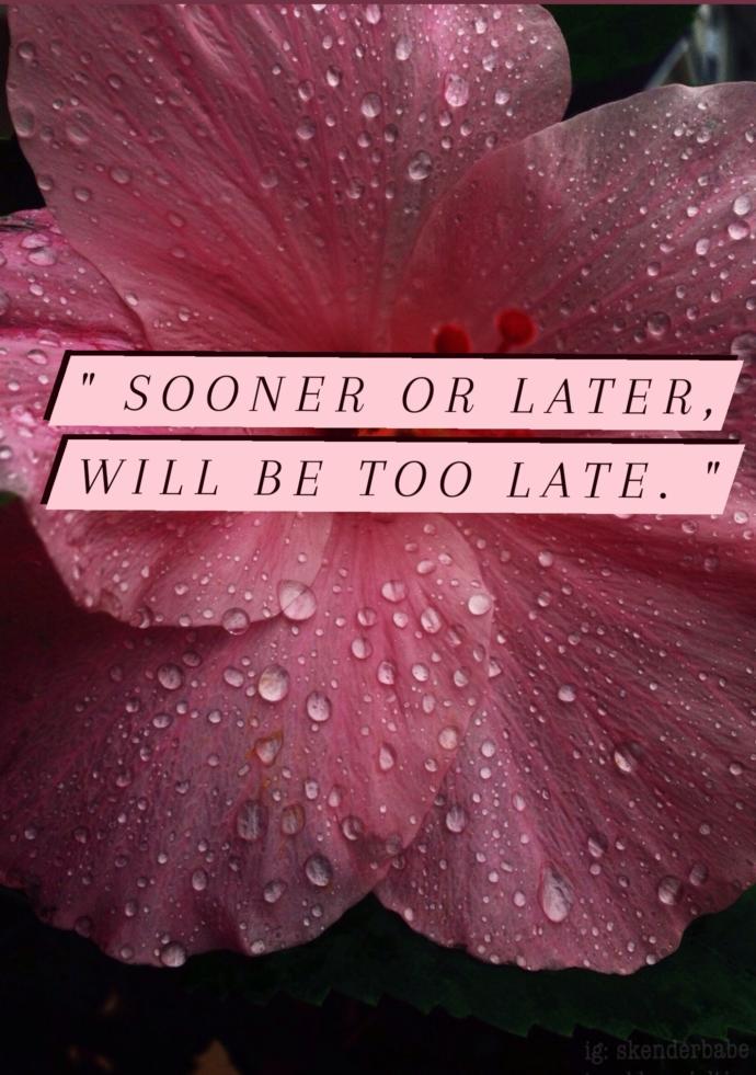 Which of my quotes do you like the most?