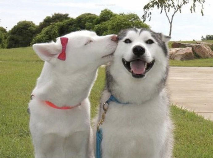 After how many months together do couples usually start arguing?