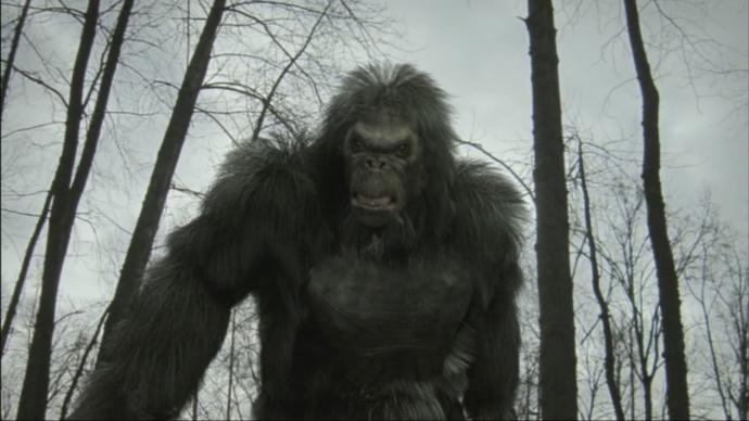 Do you think Bigfoot is real or a hoax?