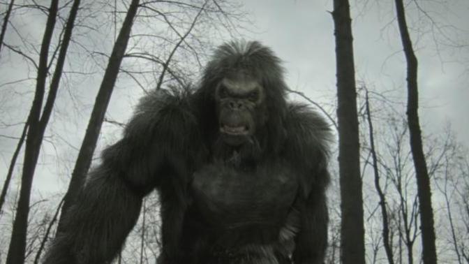 Do you think Bigfoot is real or a hoax?