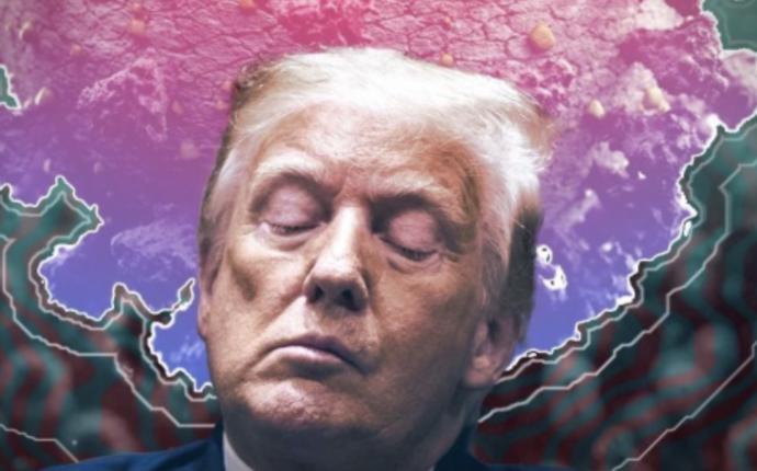 Now that Trump conceded, will his supporters?