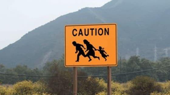 If you had the power to, what would you do with the illegals currently present in the US? And how would solve the issue of illegal immigration?