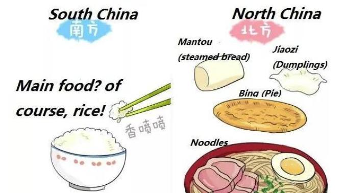 Noodles or Fried Rice?