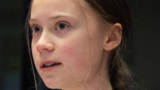 Is your opinion of Greta Thunberg positive or negative?